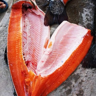  مواد پروتئینی | ماهی ماهی قزل الا و ماهی سالمون و میگو