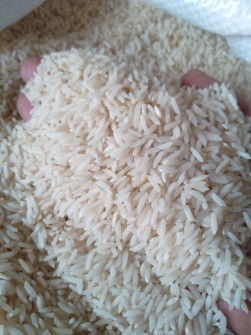  غلات | برنج برنج محلی  هاشمی درجه یک محصول آستانه ارگانیک