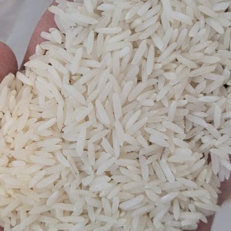  غلات | برنج هاشمی و شیرودی
