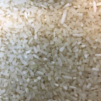  غلات | برنج برنج نیم دانه هاشمی درجه 1