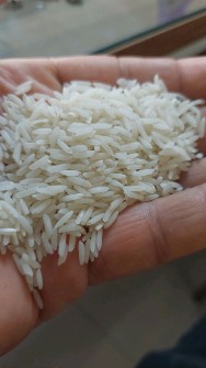  غلات | برنج برنج هاشمی اعلا