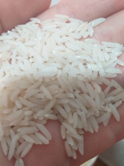  غلات | برنج هاشمی محلی