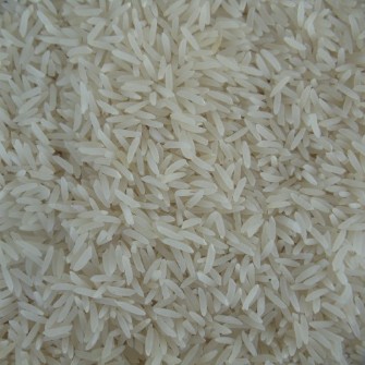  غلات | برنج برنج فجر سوزنی گرگان