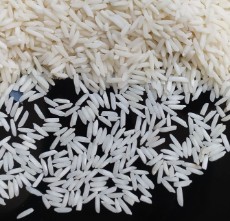  غلات | برنج برنج هاشمی گیلان اعلا اعلا
