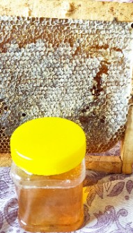  دامپروری | عسل شیره و شانه تغزیه ای
