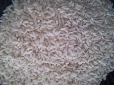  غلات | برنج علی کاظمی طارم