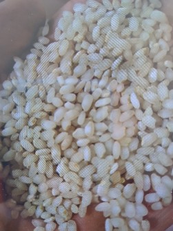  غلات | برنج برنج گرده وآش
