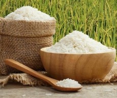  غلات | برنج ایرانی هندی