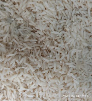  غلات | برنج جمشید