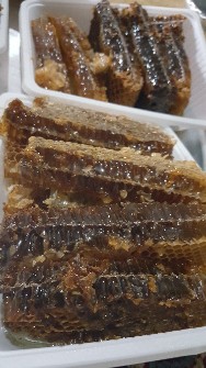  دامپروری | عسل عسل خالص عسل طبیعی