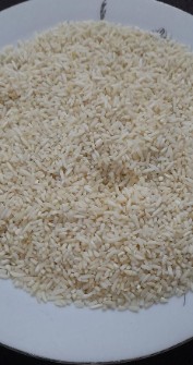  غلات | برنج نیم دانه