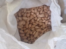  خشکبار | بادام بادام سنگی