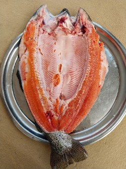 مواد پروتئینی | ماهی قزل آلای سردابی سالمون تریپلئید صادراتی