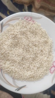  غلات | برنج طارم علی کاظمی