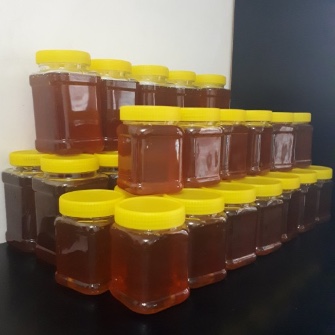  دامپروری | عسل عسل طبیعی آویشن و پونه