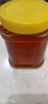  دامپروری | عسل عسل طبیعی . عسل کنار .عسل چهل گیاه