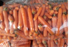  صیفی | هویج هویج صادراتی