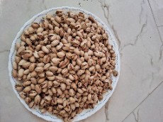  خشکبار | پسته احمد آقایی و فندقی