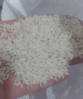 غلات | برنج برنج علی کاظمی دورود لرستان