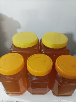  دامپروری | عسل عسل گون و کیوار