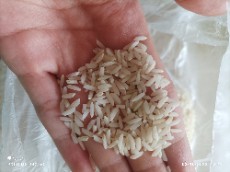  غلات | برنج برنج دانه سیاه درود لرستان