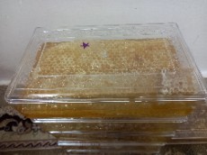  دامپروری | عسل عسل طبیعی کوهستان