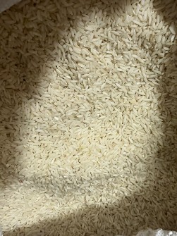  غلات | برنج علی کاظمی