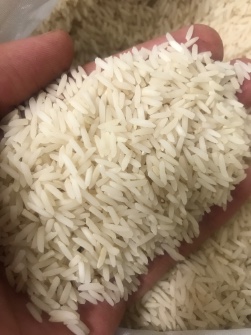  غلات | برنج صدری دمسياه آستانه اشرفيه