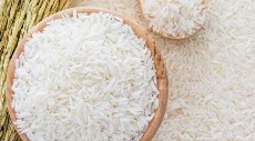  غلات | برنج برنج شیرودی اعلا
