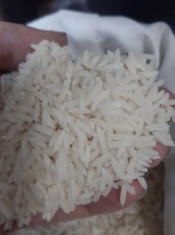  غلات | برنج هاشمی اعلا درجه یک