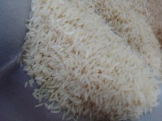  غلات | برنج انواع برنج ايرانی و خارجی