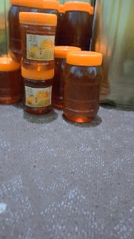  دامپروری | عسل عسل کنار