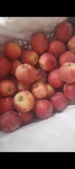  میوه | سیب سیب قرمز 80 تا 110
