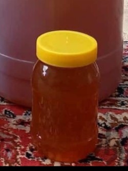  دامپروری | عسل عسل تغذیه وعسل کنار