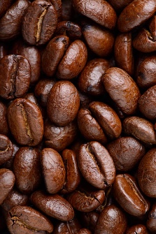  نوشیدنی | قهوه دان قهوه،محصولات پودري
