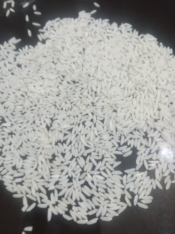  غلات | برنج برنج زاگرس