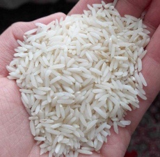  غلات | برنج طارم درجه 1