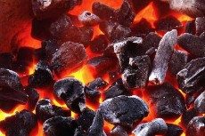  سوخت و انرژی | زغال زغال اصفهان