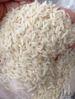  غلات | برنج طارم هاشمی درجه یک