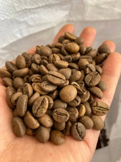  نوشیدنی | قهوه عربیکا