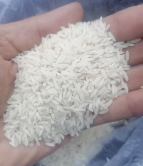  غلات | برنج برنج فجر درجه یک