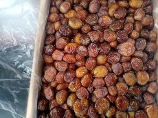  میوه | خرما خرمای خاصویی صادراتی حاجی آباد بندر عباس