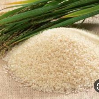  غلات | برنج عنبربو هاشمی