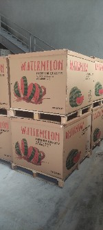  صیفی | هندوانه باکس نیم تنی صادرات هندوانه