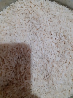  غلات | برنج علی کاظمی ایرانی