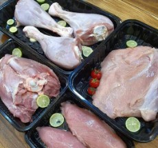  مواد پروتئینی | فرآورده گوشتی مرغ