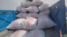  غلات | برنج برنج طارم صددرصد اصل