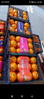  میوه | پرتقال ناولینا