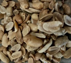  دامپروری | خوراک دام ضایعات بادام زمینی