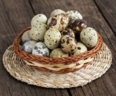  مواد پروتئینی | تخم مرغ تخم بلدرچین تازه